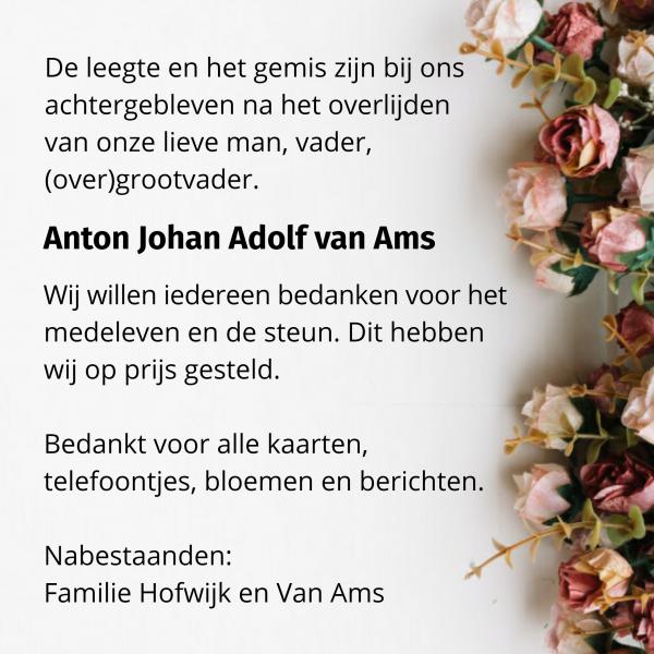 Anton Johan Adolf van Ams